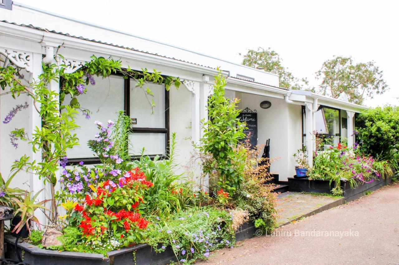 Le Chalet Waiheke Apartments Ostend Ngoại thất bức ảnh